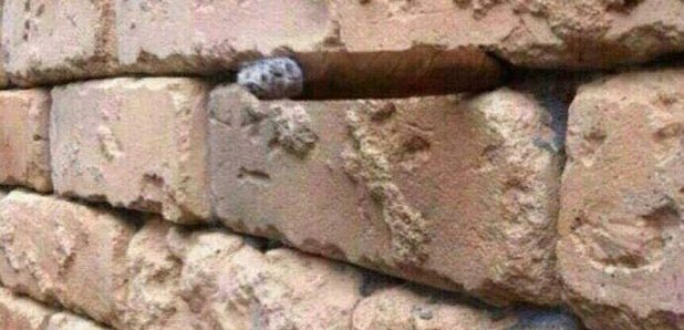 Brick Wall Optical Illusion