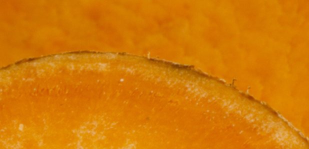 Sweet potato clue
